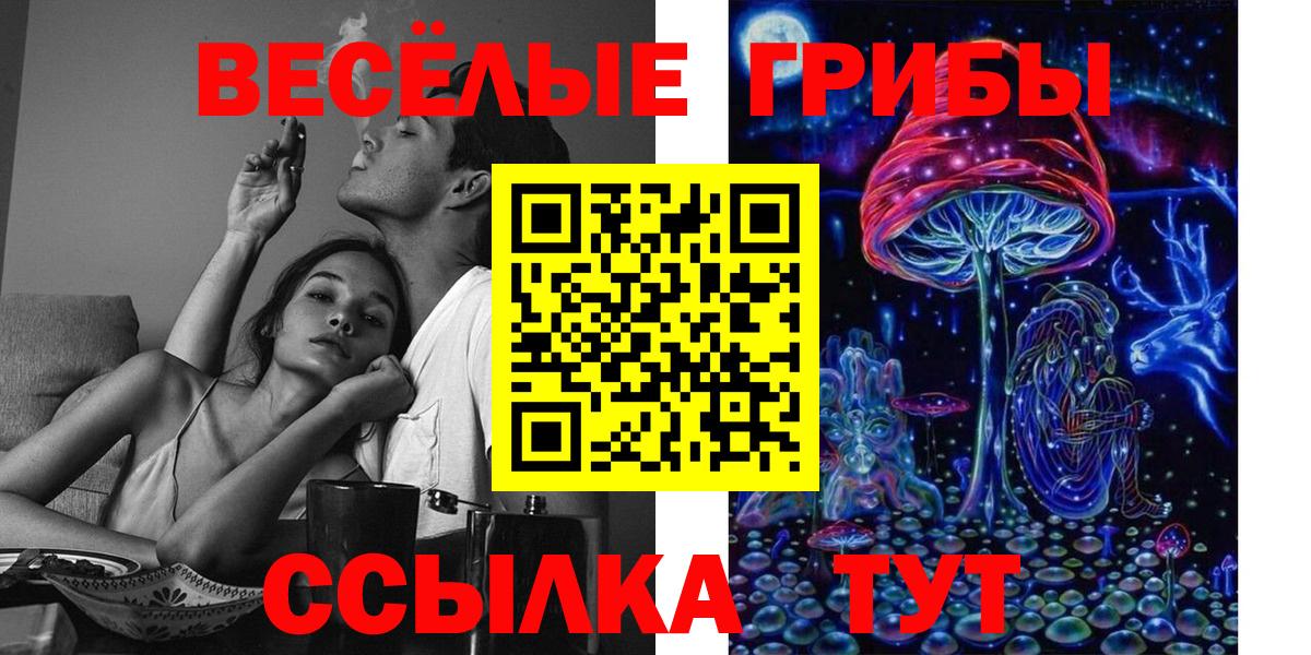 ГАШИШ Ковров