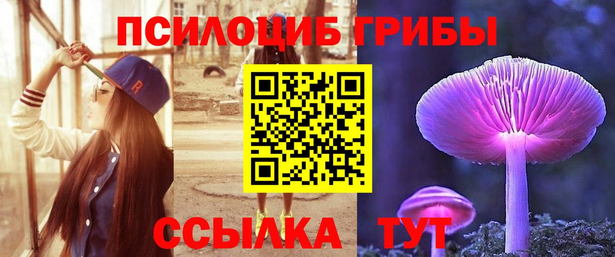 Ковров  Псилоцибиновые грибы мицелий  Вход с VPN  наркошоп  Псилоцибиновые грибы ЛСД 