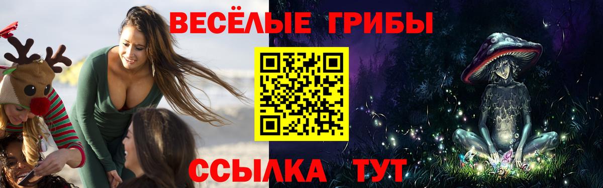 Галлюциногенные грибы Psilocybine cubensis Ковров